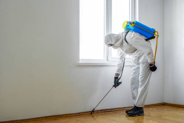 Best Commercial Pest Control Services  in Ridgefield, NJ