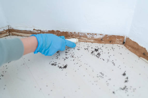 Best Affordable Pest Control Services  in Ridgefield, NJ