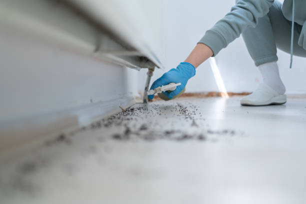 Professional Pest Control in Ridgefield, NJ