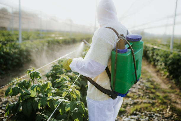 Pest Control for Restaurants in Ridgefield, NJ